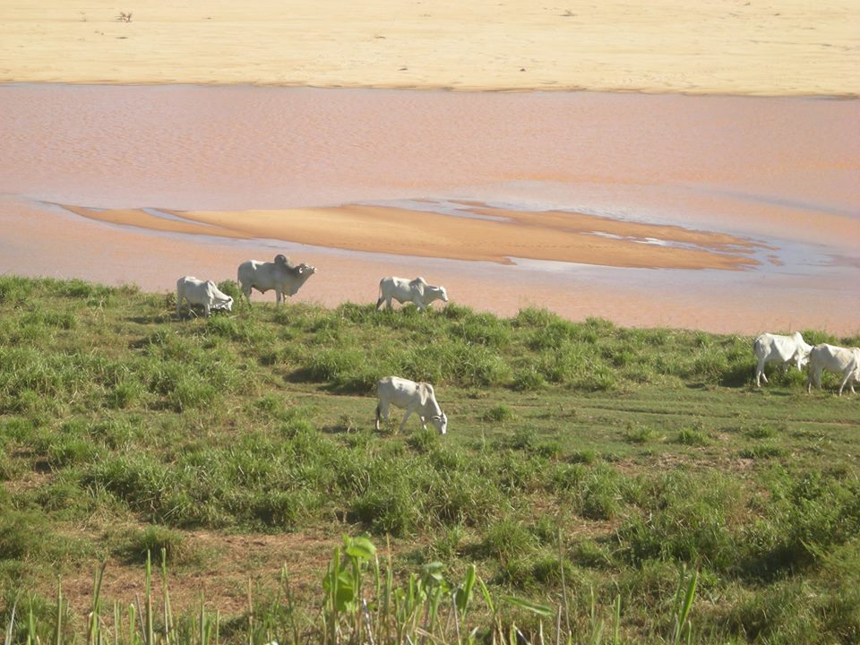 680km toter Fluss – Dammbruch der Bergbaudeponie bei Mariana in Brasilien