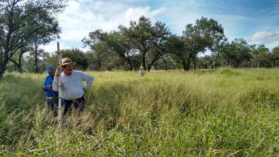 Partizipation und Landnutzung im argentinischen Chaco